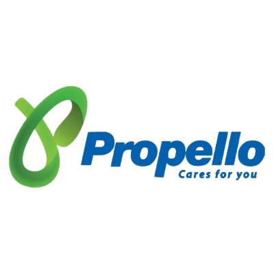 Propello Chimney Repair Service